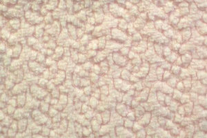 Cloudy Cuddle Sherpa PINK