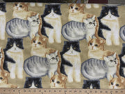Anti-Pill Cats Fleece 12