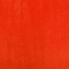 Bright Red Solid Fleece