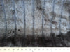 SWATCHES Misc Long Pile Minky Fur Solids