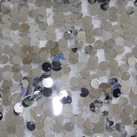 Dangle Scale Sequins SILVER