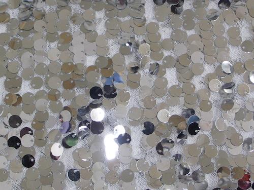 Dangle Scale Sequins SILVER