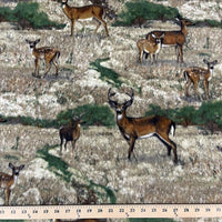 Anti Pill Deer Fleece 38
