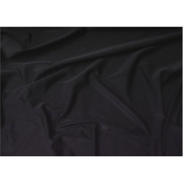 Sparkle Swimsuit Spandex BLACK