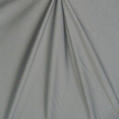 Sparkle Swimsuit Spandex SILVER