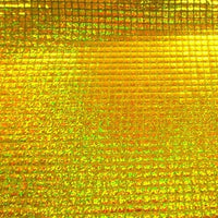 SWATCHES Hologram Square Sequins