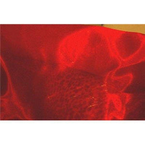Mirror Organza Red