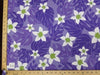 PURPLE MONSTERA HP-31