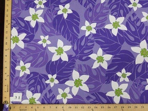 PURPLE MONSTERA HP-31