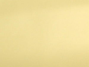 Clothing PVC Ivory