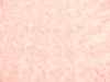 SWATCHES Rose Bud Fur