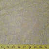 Rachel Lace CHAMPAGNE FL-27