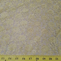 Rachel Lace CHAMPAGNE FL-27