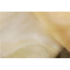 SWATCHES Crystal Organza