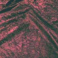 Crushed Panne Velour Velvet Wine