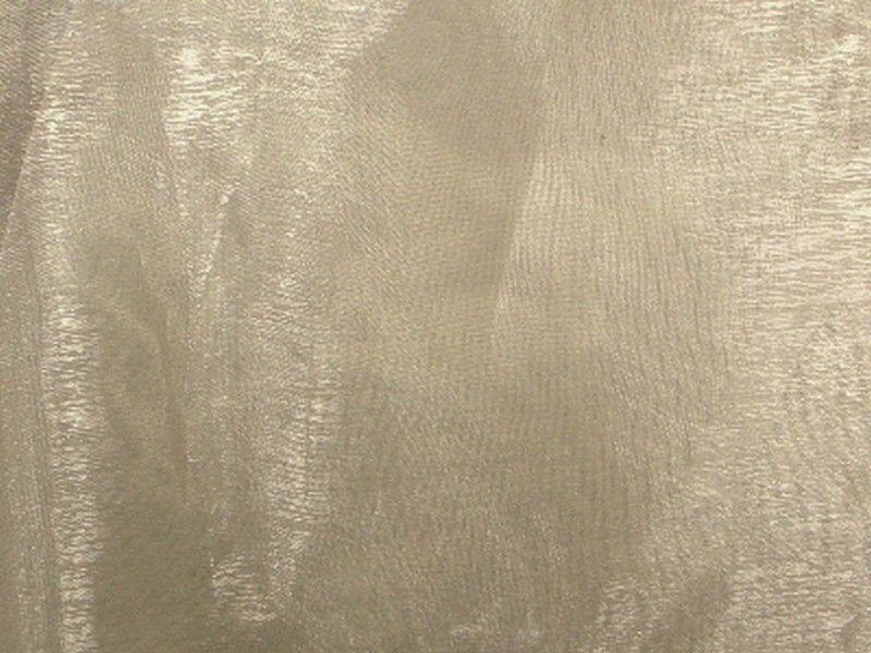 Mirror Organza Champagne