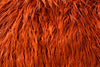 SWATCHES Mongolian Fur