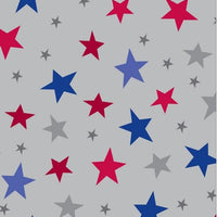 Premium Anti-Pill Stars Silver Blue Fleece 716