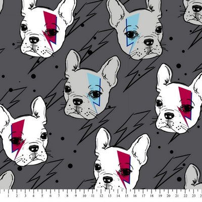 Premium Anti-Pill French Brit Pup Fleece 71