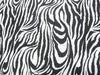 Zebra Spandex SP-38