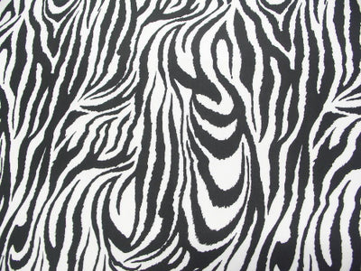 Zebra Spandex SP-38