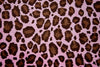 SWATCHES Jaguar Minky Cuddle Fur