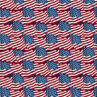 Premium Anti-Pill Old Glory USA Flag Fleece 9