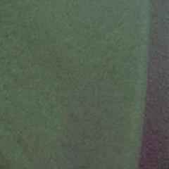 Hunter Green Solid Fleece
