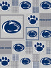 Premium Anti-Pill Penn State Fleece B911 "LAST PIECE MEASURES 1 YARD 30 INCHES"