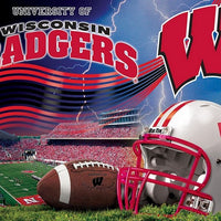 Premium Anti-Pill Wisconsin Stadium Wave Football Fleece B240