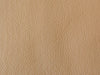 Upholstery PVC Champion Vinyl