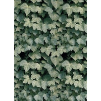 Premium Anti-Pill Ivy Fleece B168
