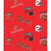 Premium Anti-Pill Maryland, University Fleece B27