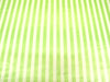 SWATCHES Striped Charmeuse Satin