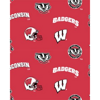 Anti-Pill Wisconsin University Fleece B378