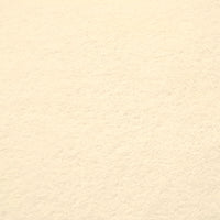 SWATCHES Minky Fleece Double Sided