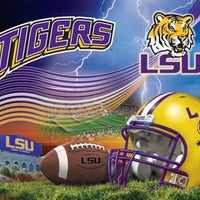 Anti-Pill LSU Stadium Football Fleece Panel B102