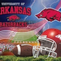 Anti-Pill Arkansas Stadium Football Fleece Panel B639