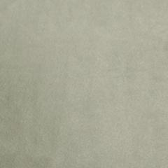 Silver Gray Solid Fleece