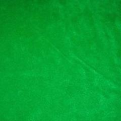 Kelly Green Solid Fleece