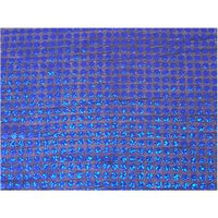 Large Hologram Confetti Dot Sequins ROYAL BLUE
