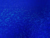 SWATCHES Metallic Hologram Foil Spandex