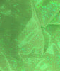 SWATCHES Metallic Hologram Foil Spandex