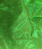 SWATCHES Metallic Hologram Foil Spandex