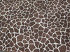 SWATCHES Printed Spandex