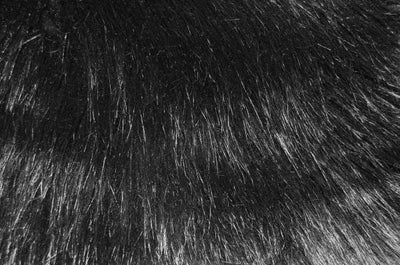 SWATCHES Misc Long Pile Minky Fur Solids