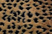 Lynx Tan Black Minky Fur MF-7
