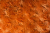 SWATCHES Rose Bud Fur