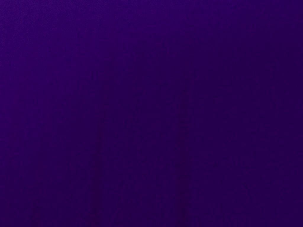Dull Swimsuit Spandex (Matte Finish) PURPLE