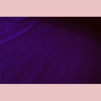 SWATCHES Velveteen Flocking Light Weight